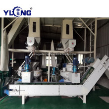 Wood Pellets Mill and Packing Machine